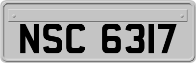 NSC6317