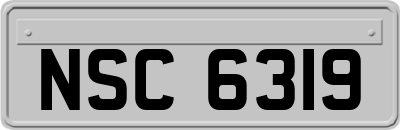 NSC6319