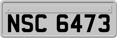 NSC6473