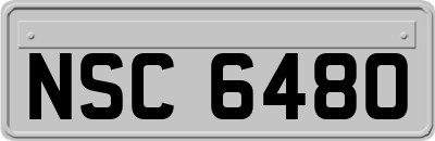 NSC6480