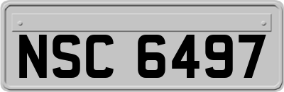 NSC6497