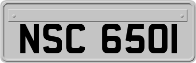 NSC6501