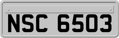 NSC6503