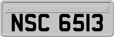 NSC6513