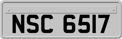 NSC6517