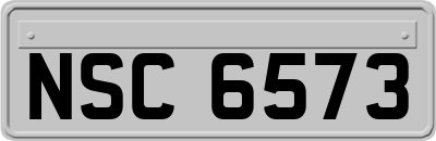 NSC6573