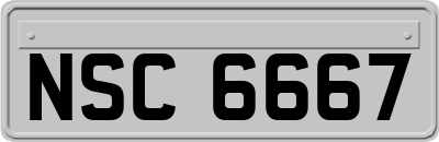 NSC6667