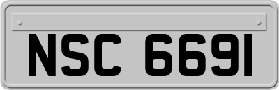 NSC6691