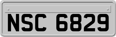 NSC6829