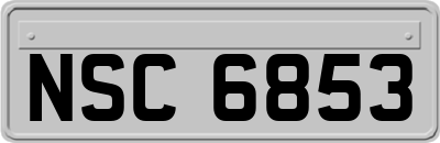 NSC6853