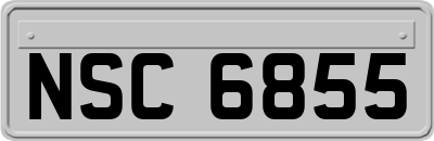 NSC6855