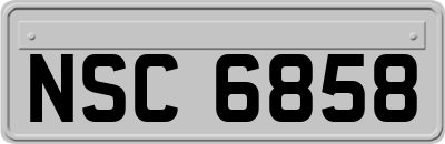 NSC6858