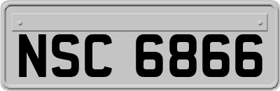 NSC6866