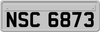 NSC6873