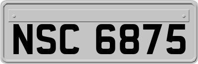 NSC6875