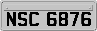 NSC6876