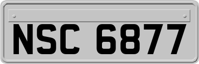 NSC6877