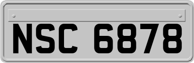 NSC6878