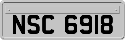 NSC6918