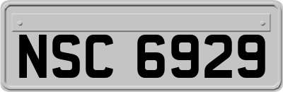 NSC6929