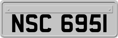 NSC6951