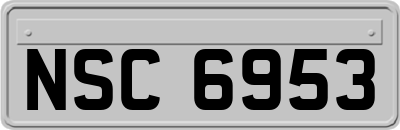 NSC6953