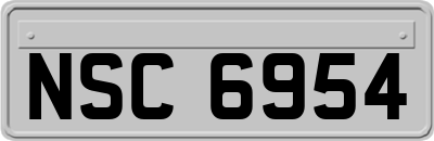 NSC6954