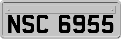 NSC6955