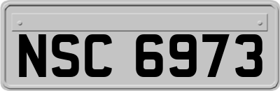 NSC6973