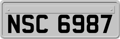 NSC6987