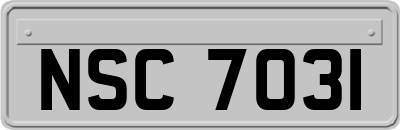 NSC7031