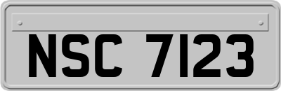 NSC7123