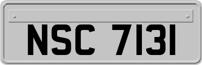 NSC7131