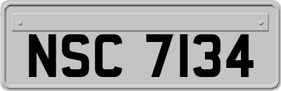 NSC7134