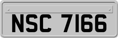 NSC7166