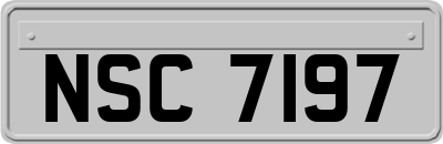 NSC7197