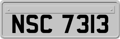 NSC7313