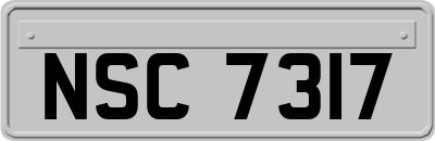 NSC7317