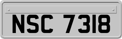 NSC7318