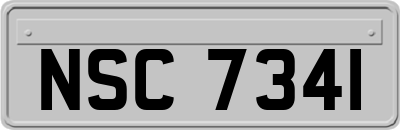 NSC7341