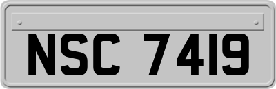 NSC7419