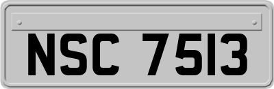 NSC7513