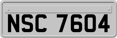 NSC7604