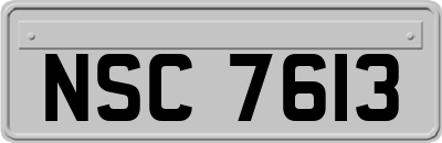 NSC7613