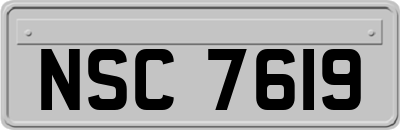 NSC7619