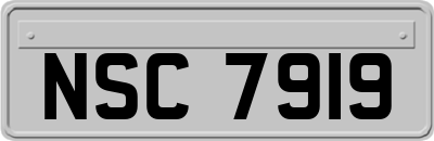 NSC7919