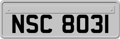 NSC8031