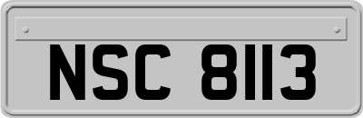 NSC8113