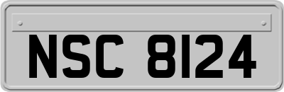 NSC8124