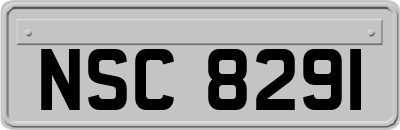 NSC8291